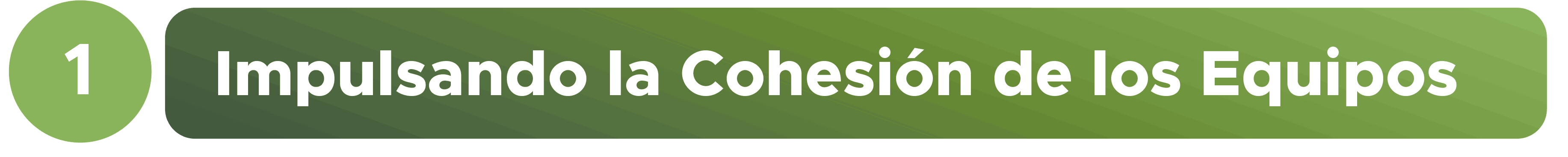 Bienestar y Salud Mental