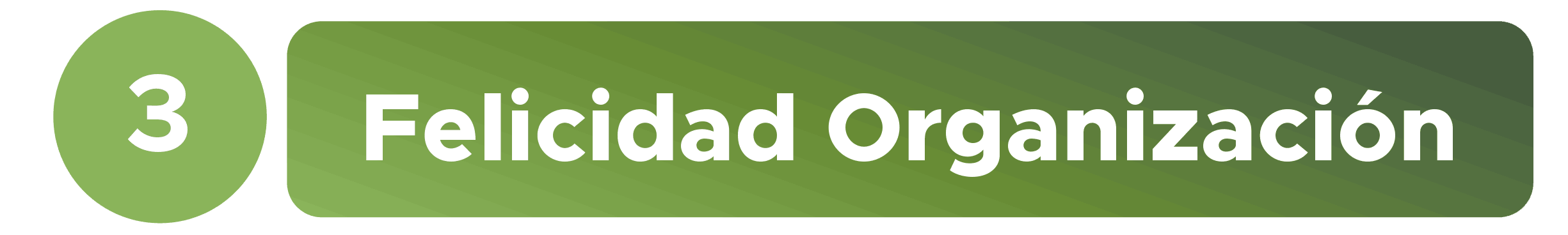 Bienestar y Salud Mental