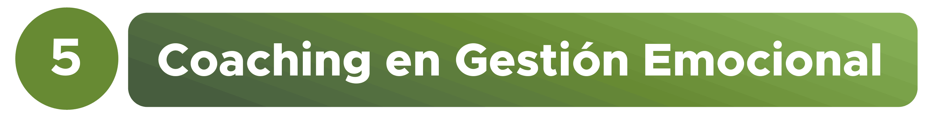 Bienestar y Salud Mental