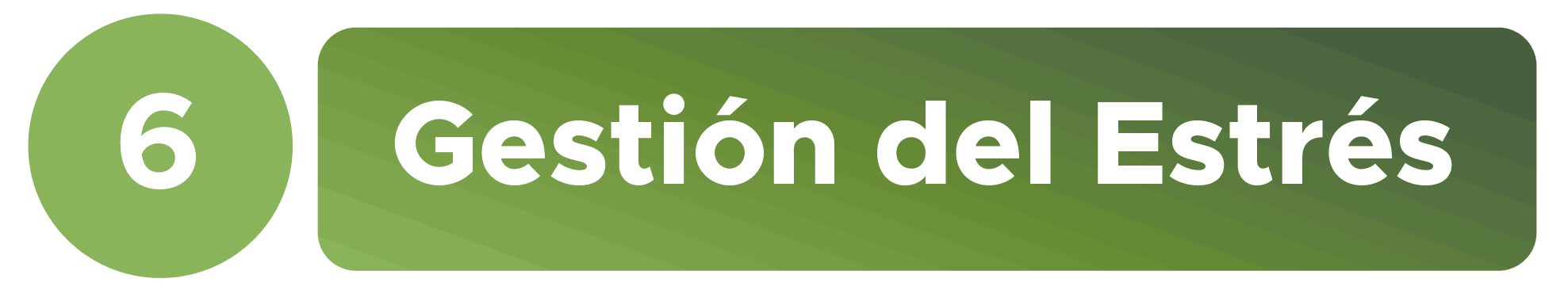 Bienestar y Salud Mental