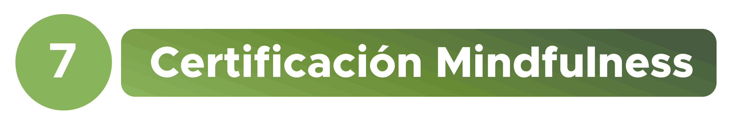 Bienestar y Salud Mental