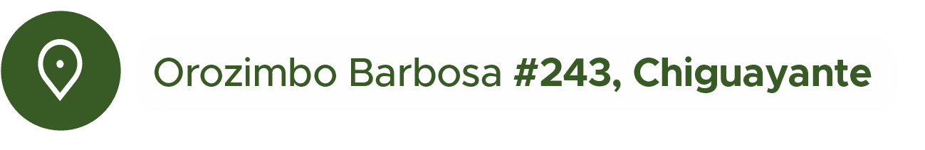 Taller Liderar Recursos Transformar Escuelas Mayo 2025